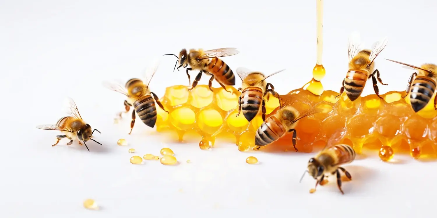Produkcja matek pszczelich