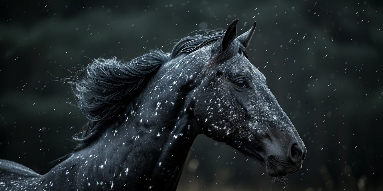 Śmierć zwierzęcia - jak zapewnić wiernemu przyjacielowi godny pochówek?